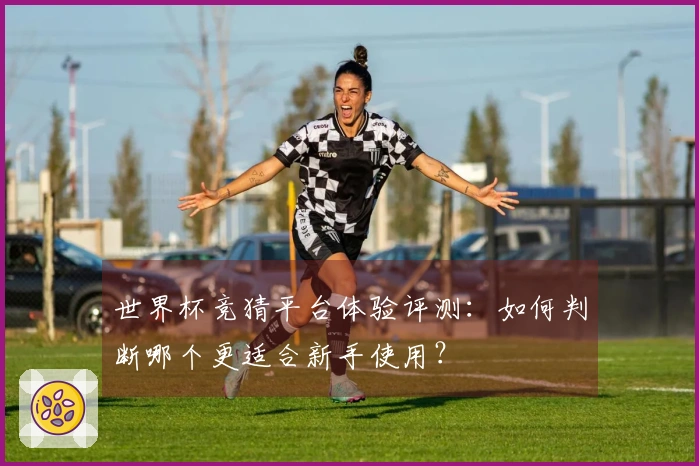 世界杯竞猜平台体验评测：如何判断哪个更适合新手使用？
