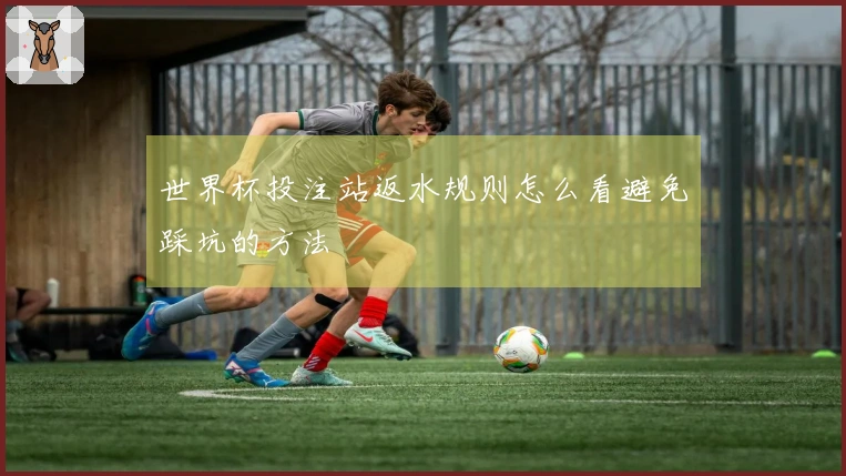 世界杯投注站返水规则怎么看避免踩坑的方法