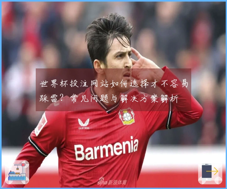 世界杯投注网站如何选择才不容易踩雷？常见问题与解决方案解析