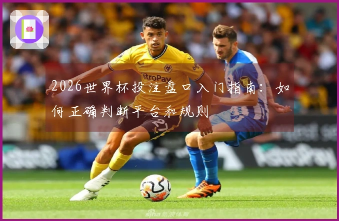 2026世界杯投注盘口入门指南：如何正确判断平台和规则