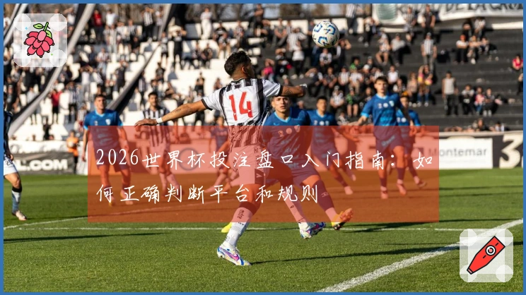 2026世界杯投注盘口入门指南：如何正确判断平台和规则